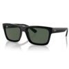 Ray Ban Warren RB4396 667771